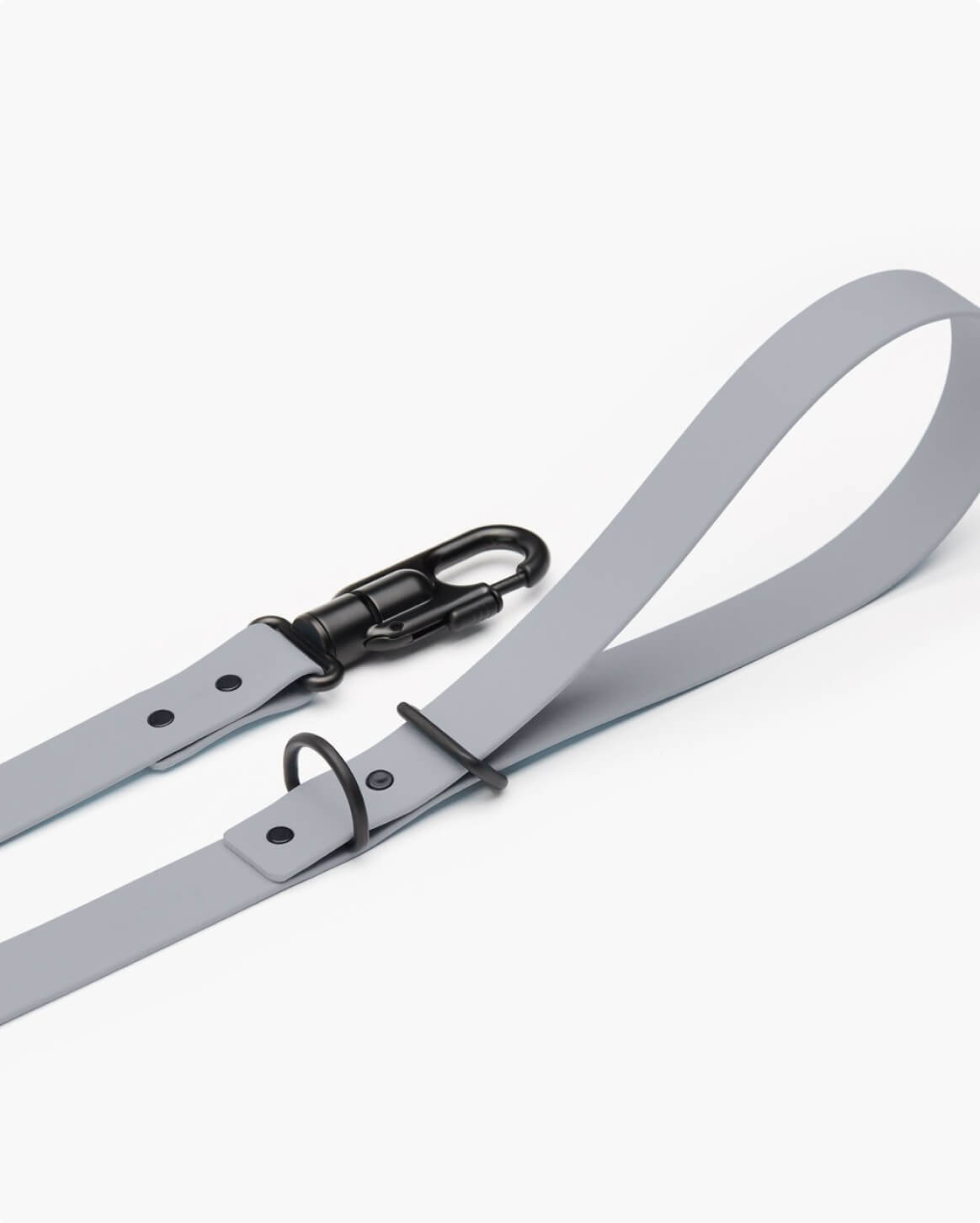 Fable Signature Leash - Eva Pet - Fable Pets