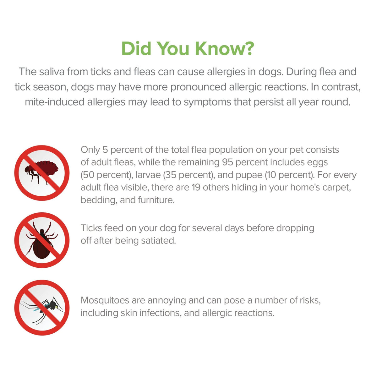 Flea and Tick Spray for Dogs - Eva Pet - Pure and Natural Pet