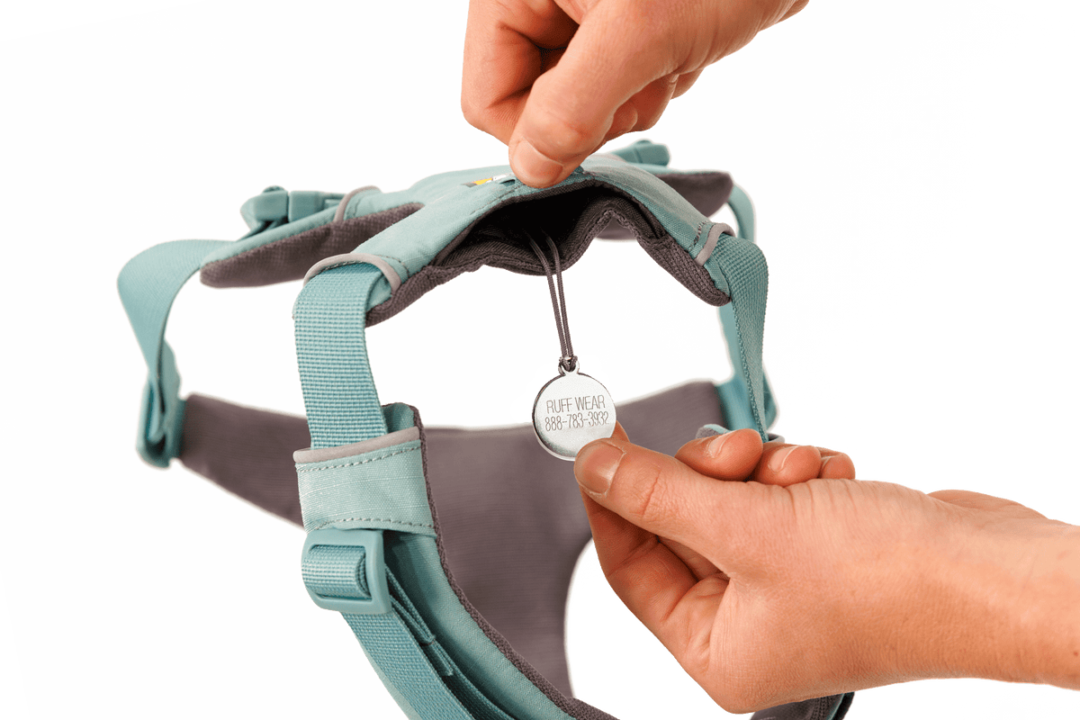 Front Range® Dog Harness - Eva Pet - Ruff Wear Inc.