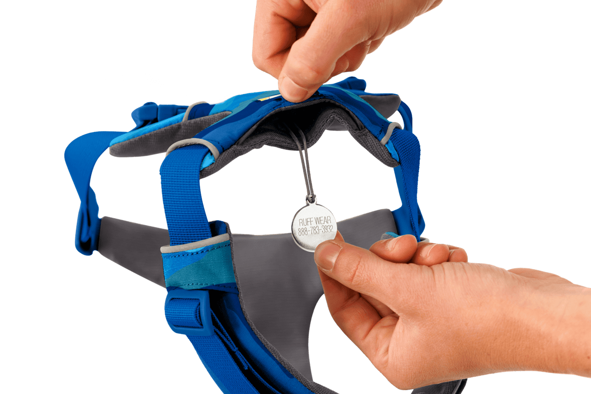 Front Range® Dog Harness - Eva Pet - Ruff Wear Inc.