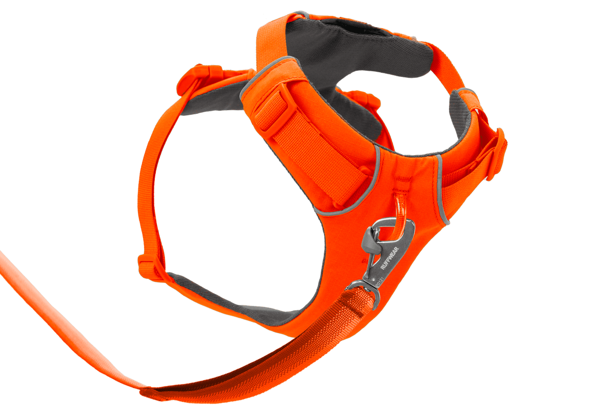 Front Range® Dog Harness - Eva Pet - Ruff Wear Inc.