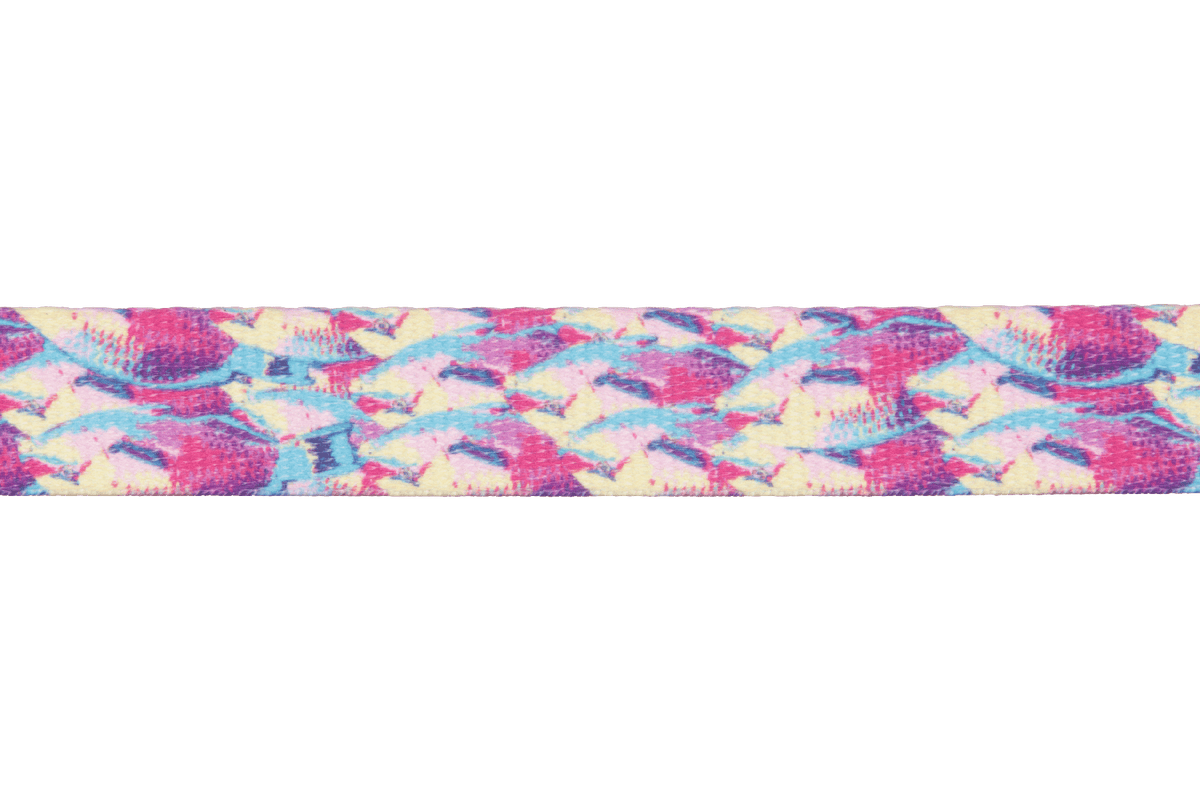 Front Range™ Dog Leash - Eva Pet - Ruff Wear Inc.