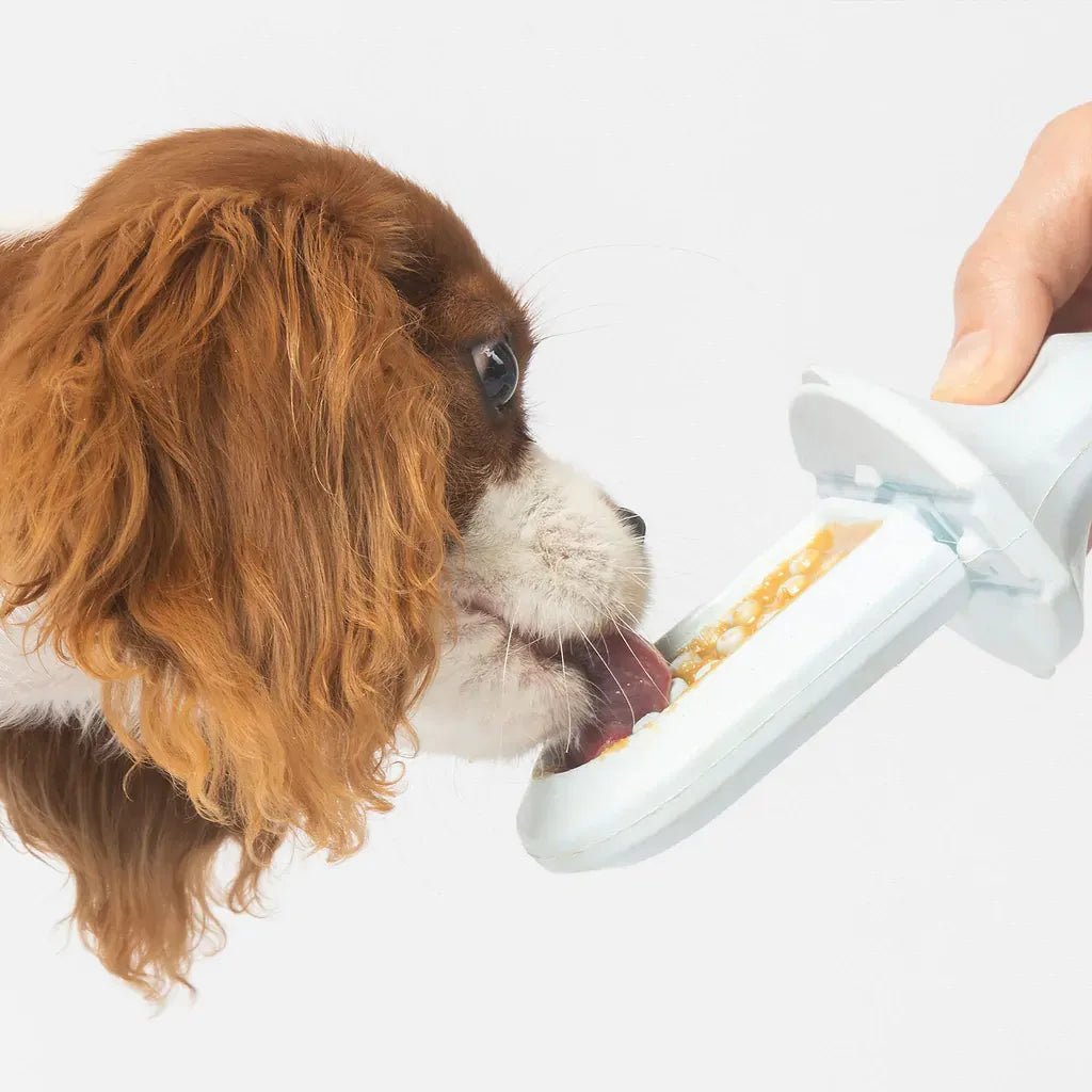 Groov Training Aid - Eva Pet - Diggs