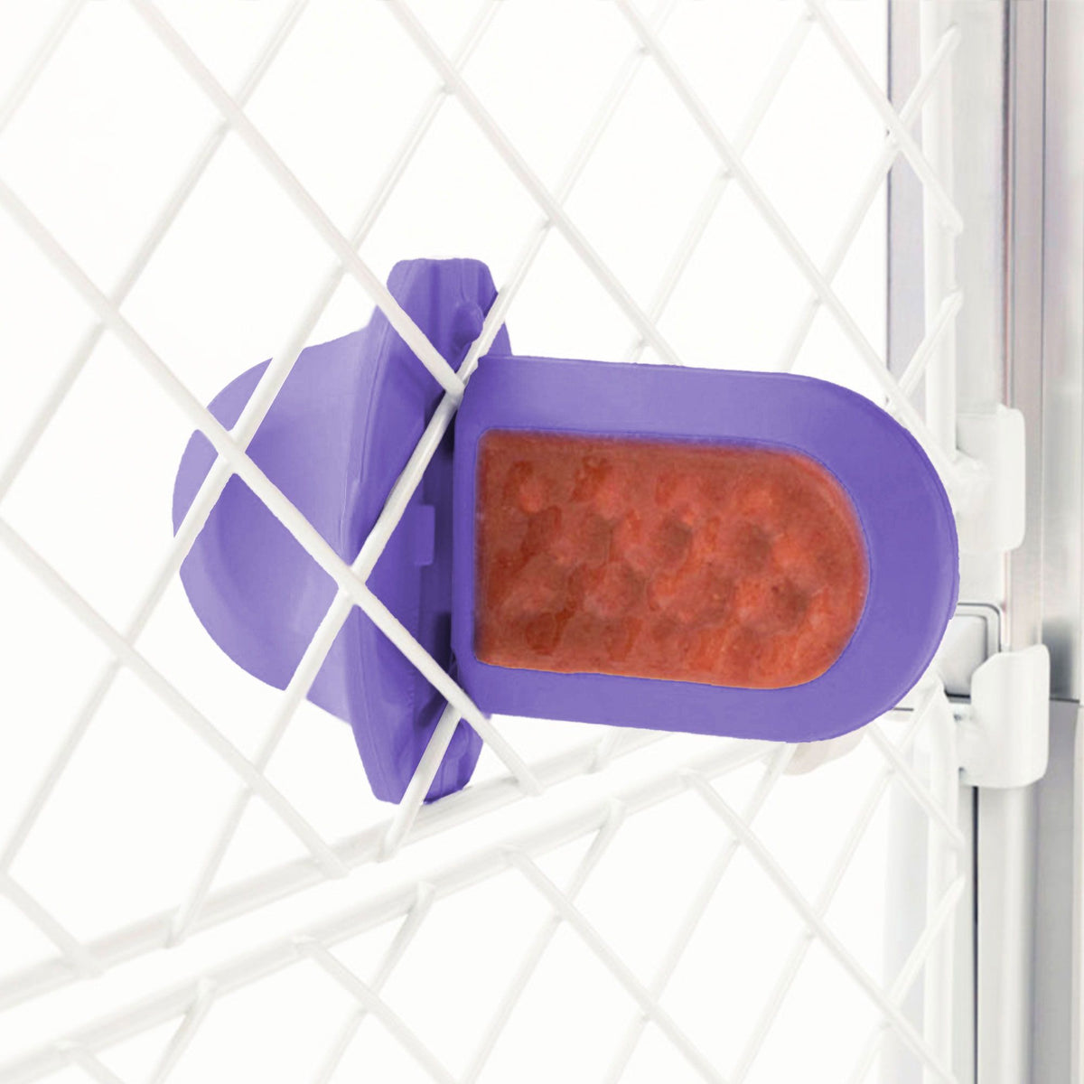 Groov Training Aid - Eva Pet - Diggs