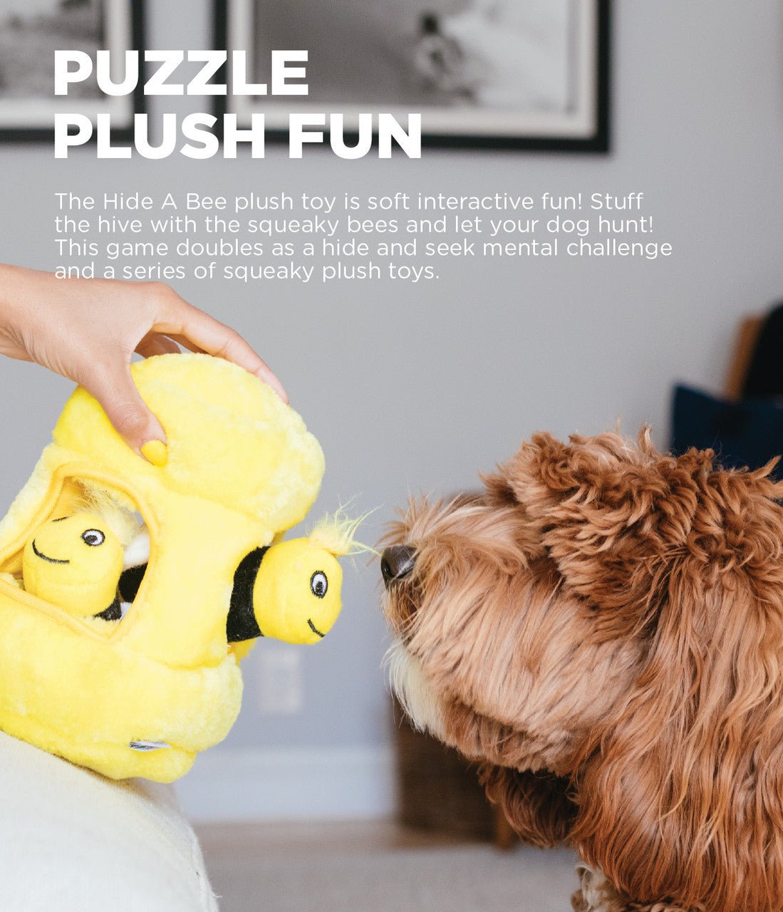 Hide A Toy Plush Puzzle Toy - Eva Pet - Outward Hound