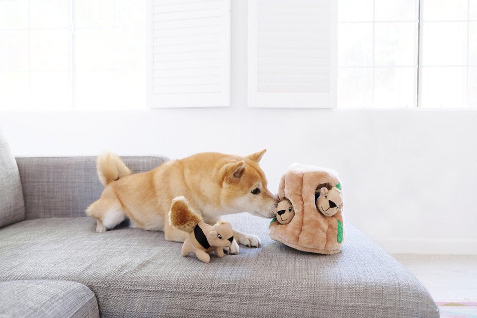 Hide A Toy Plush Puzzle Toy - Eva Pet - Outward Hound