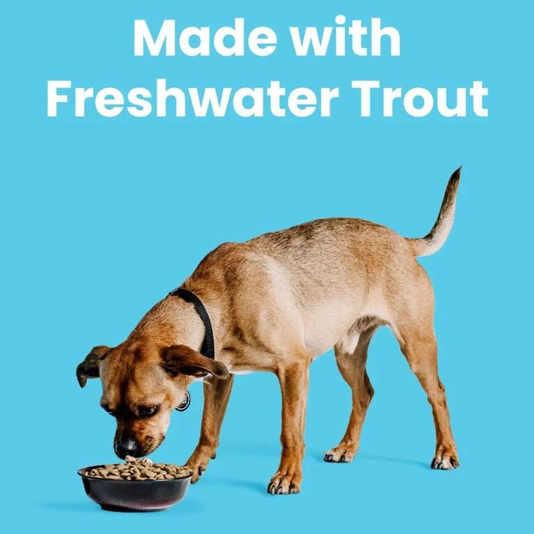 Liberty® Dry Food for Dogs – Fisherman’s Catch - Eva Pet - Bixbi