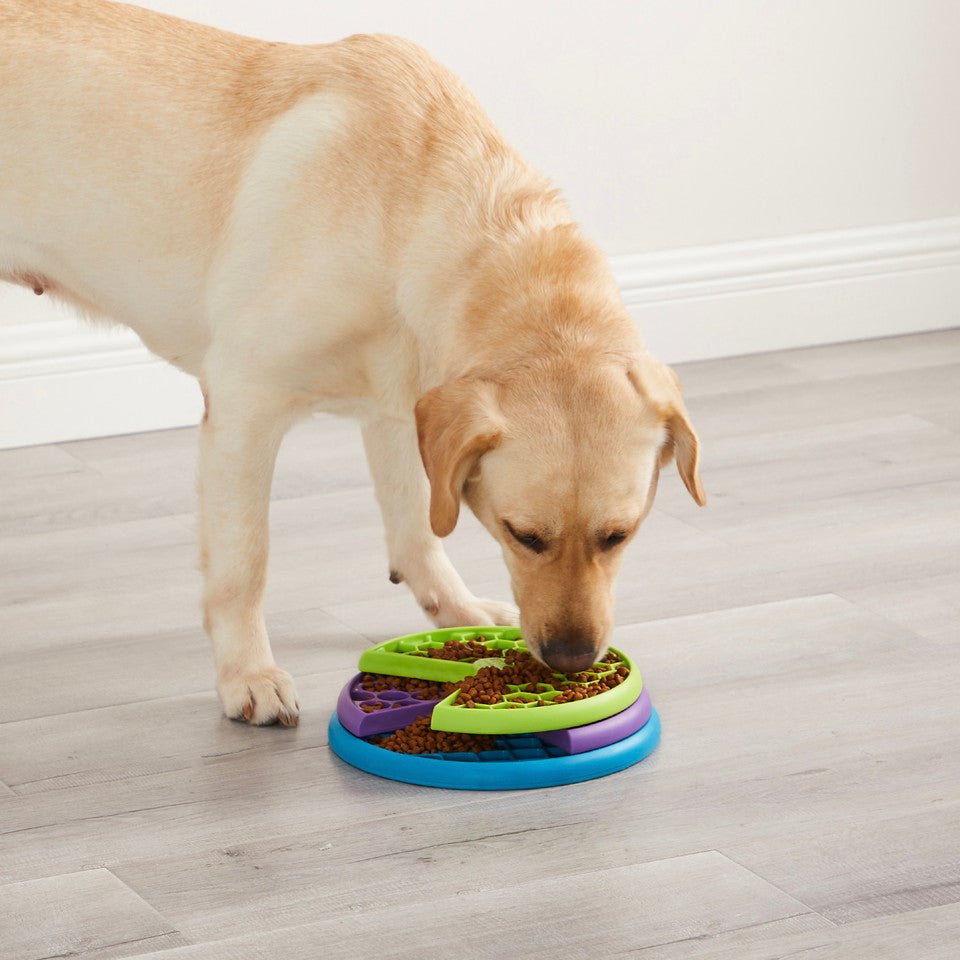Lickin' Layers Dog Puzzle Game, Multi - Eva Pet - Outward Hound
