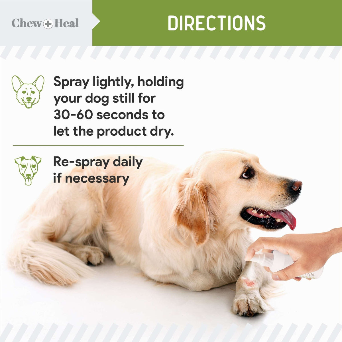 Liquid Bandage for Dogs - Eva Pet - Chew + Heal