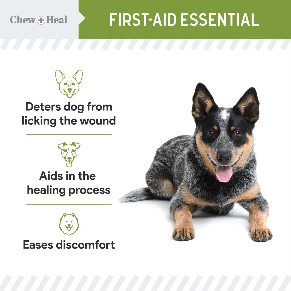 Liquid Bandage for Dogs - Eva Pet - Chew + Heal
