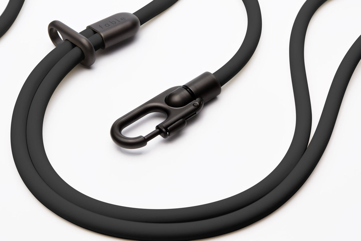 Magic Link® - Eva Pet - Fable Pets