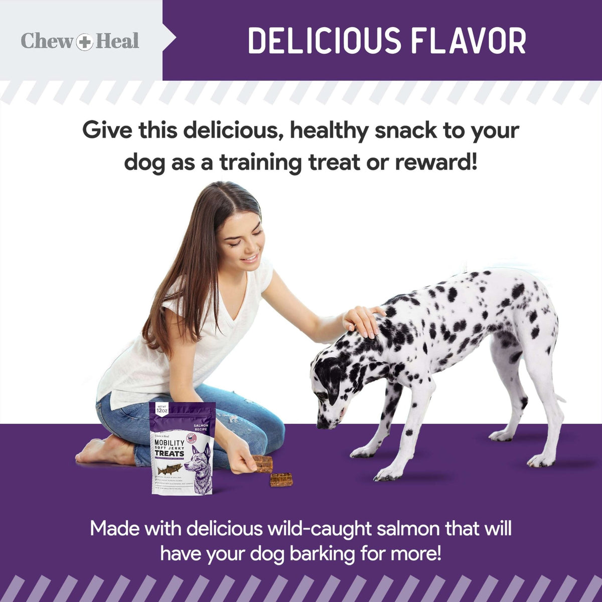 Mobility Wild Alaskan Salmon Limited Ingredient Soft Jerky Dog Treats - Eva Pet - Chew + Heal