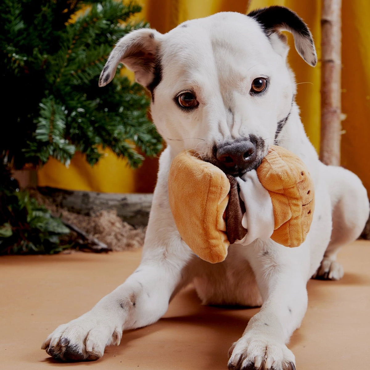 More S'mores Plush Dog Toy - Eva Pet - BARK