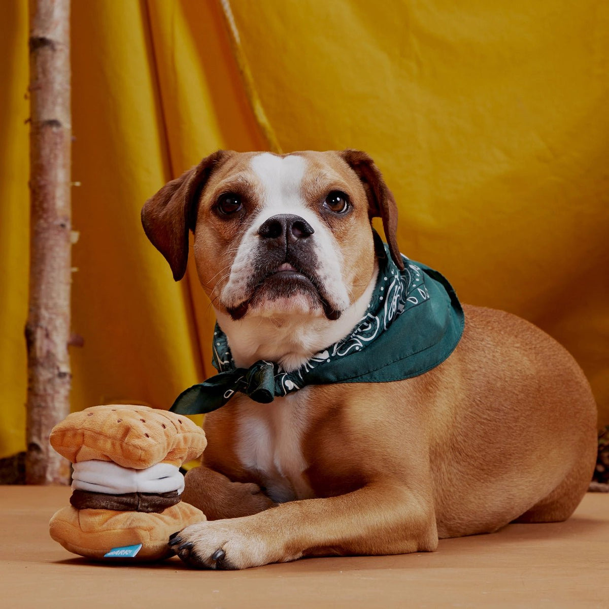 More S'mores Plush Dog Toy - Eva Pet - BARK