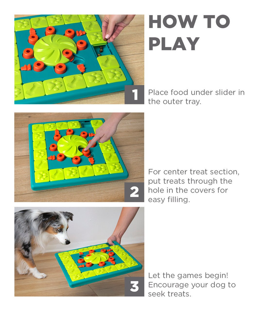 MultiPuzzle Interactive Dog Treat Puzzle Toy, Blue - Eva Pet - Outward Hound