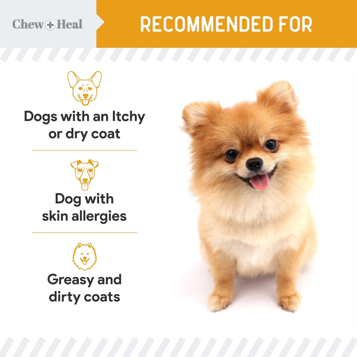 Norwegian Salmon Oil Skin & Coat Supplement for Dogs & Cats - Eva Pet - Chew + Heal