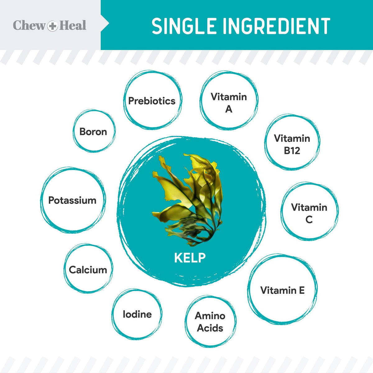 Organic Kelp Marine Superfood Granules Dental Supplement for Dogs - Eva Pet - Chew + Heal