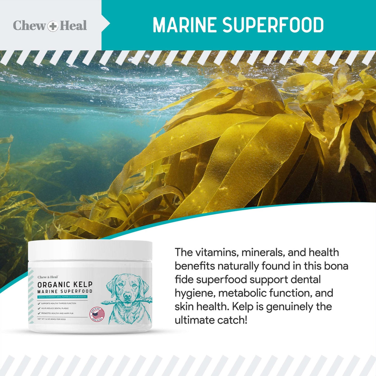 Organic Kelp Marine Superfood Granules Dental Supplement for Dogs - Eva Pet - Chew + Heal