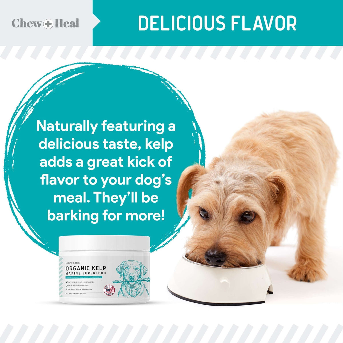 Organic Kelp Marine Superfood Granules Dental Supplement for Dogs - Eva Pet - Chew + Heal