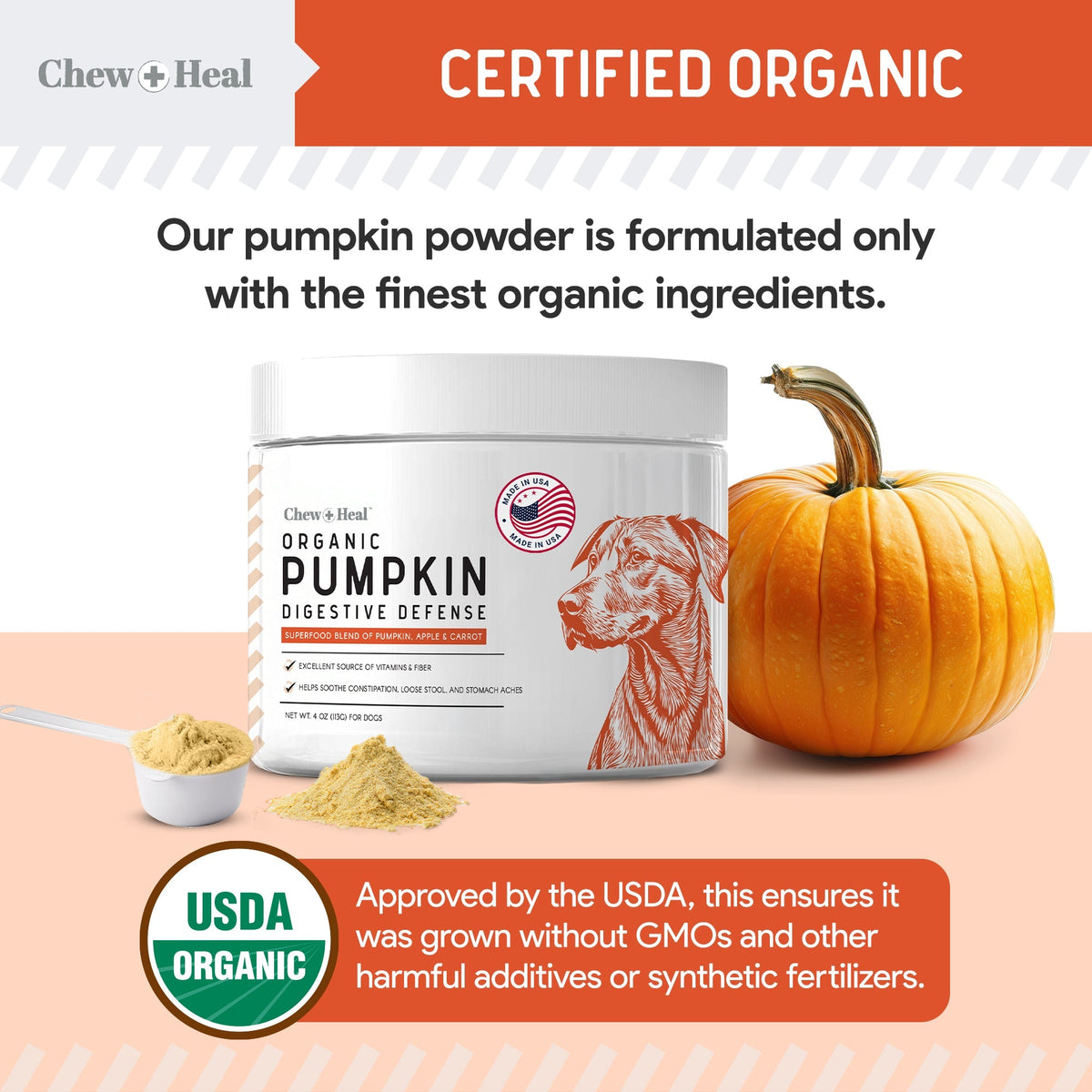 Organic Pumpkin Digestive Defense Superfood Blend Powder Digestive Aid Supplement for Dogs - Eva Pet - Chew + Heal