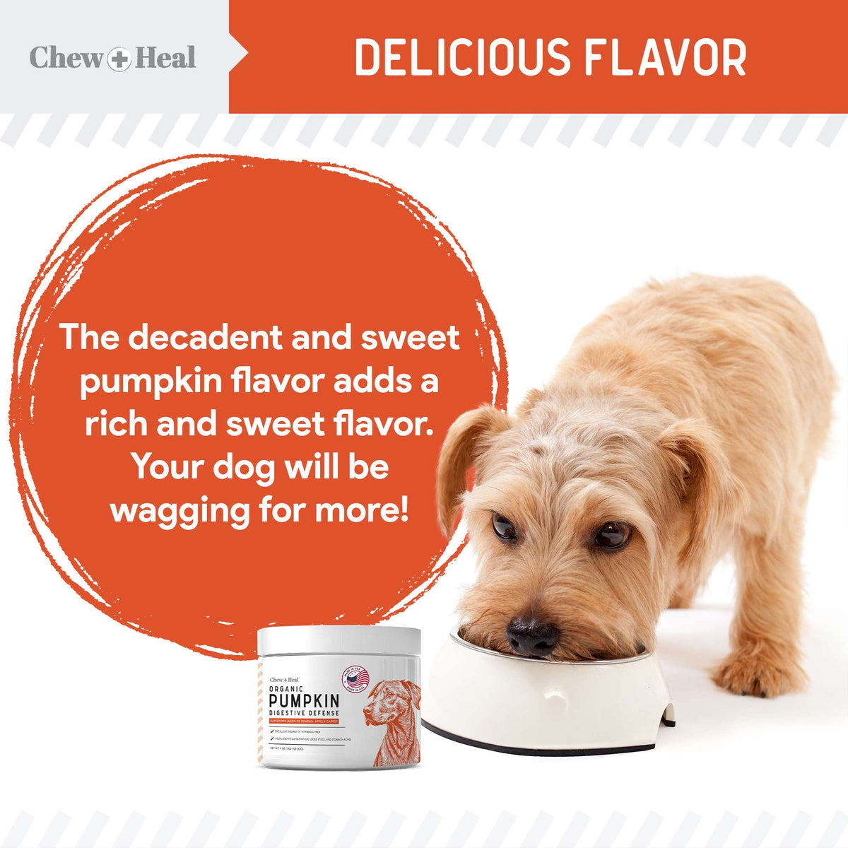 Organic Pumpkin Digestive Defense Superfood Blend Powder Digestive Aid Supplement for Dogs - Eva Pet - Chew + Heal