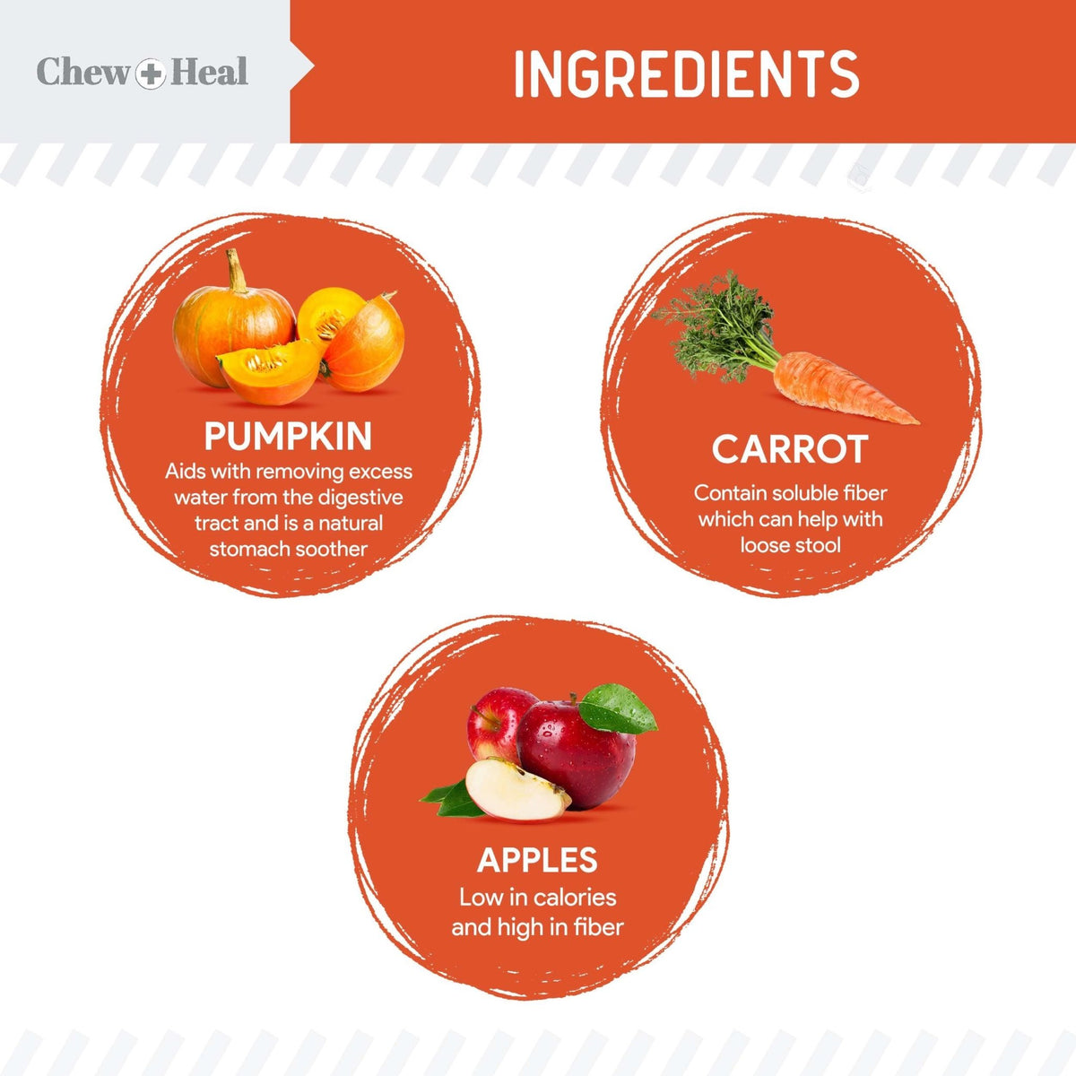 Organic Pumpkin Digestive Defense Superfood Blend Powder Digestive Aid Supplement for Dogs - Eva Pet - Chew + Heal