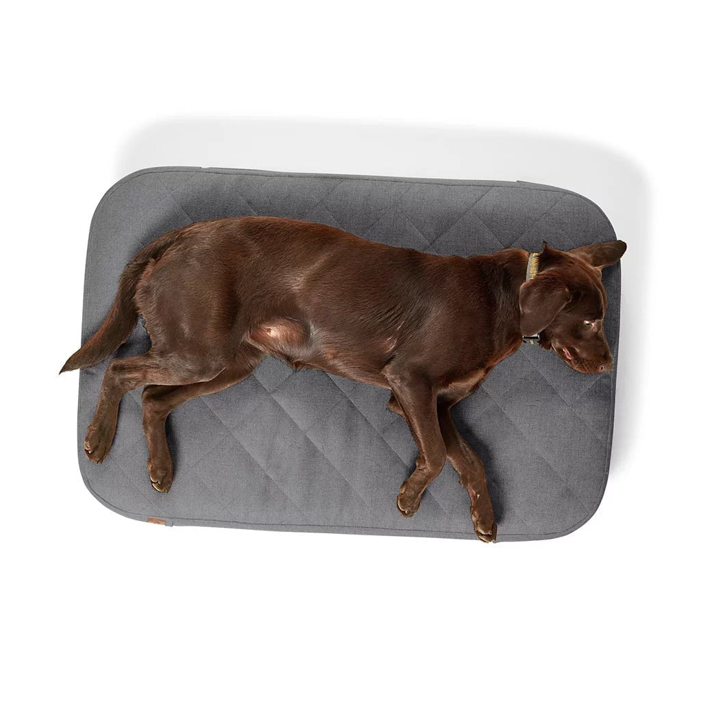 Orvis RecoveryZone® ToughChew® Lounger Dog Bed - Eva Pet - Orvis