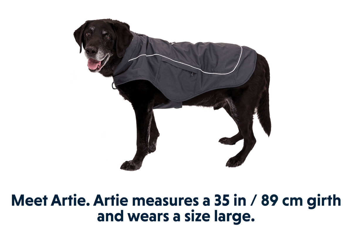 Overcoat Fuse™ Dog Jacket - Eva Pet - Ruff Wear Inc.