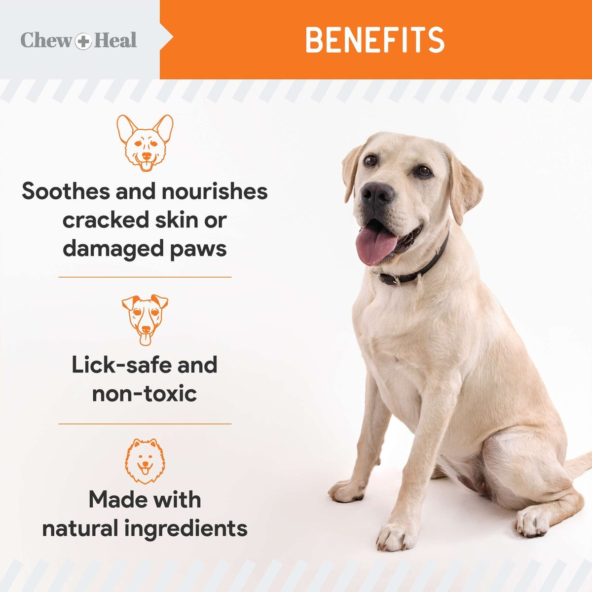 Paw Support Revitalizing Dog Paw Balm - Eva Pet - Chew + Heal