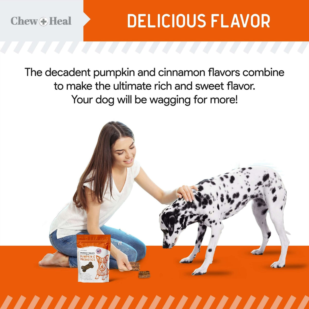 Pumpkin & Prebiotic Fiber Crunchy Biscuit Dog Treats - Eva Pet - Chew + Heal