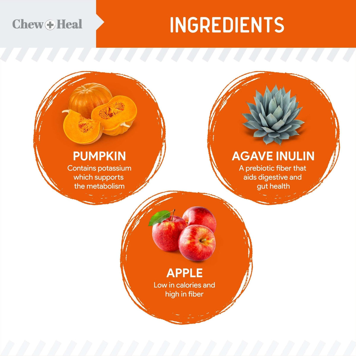 Pumpkin & Prebiotic Fiber Crunchy Biscuit Dog Treats - Eva Pet - Chew + Heal