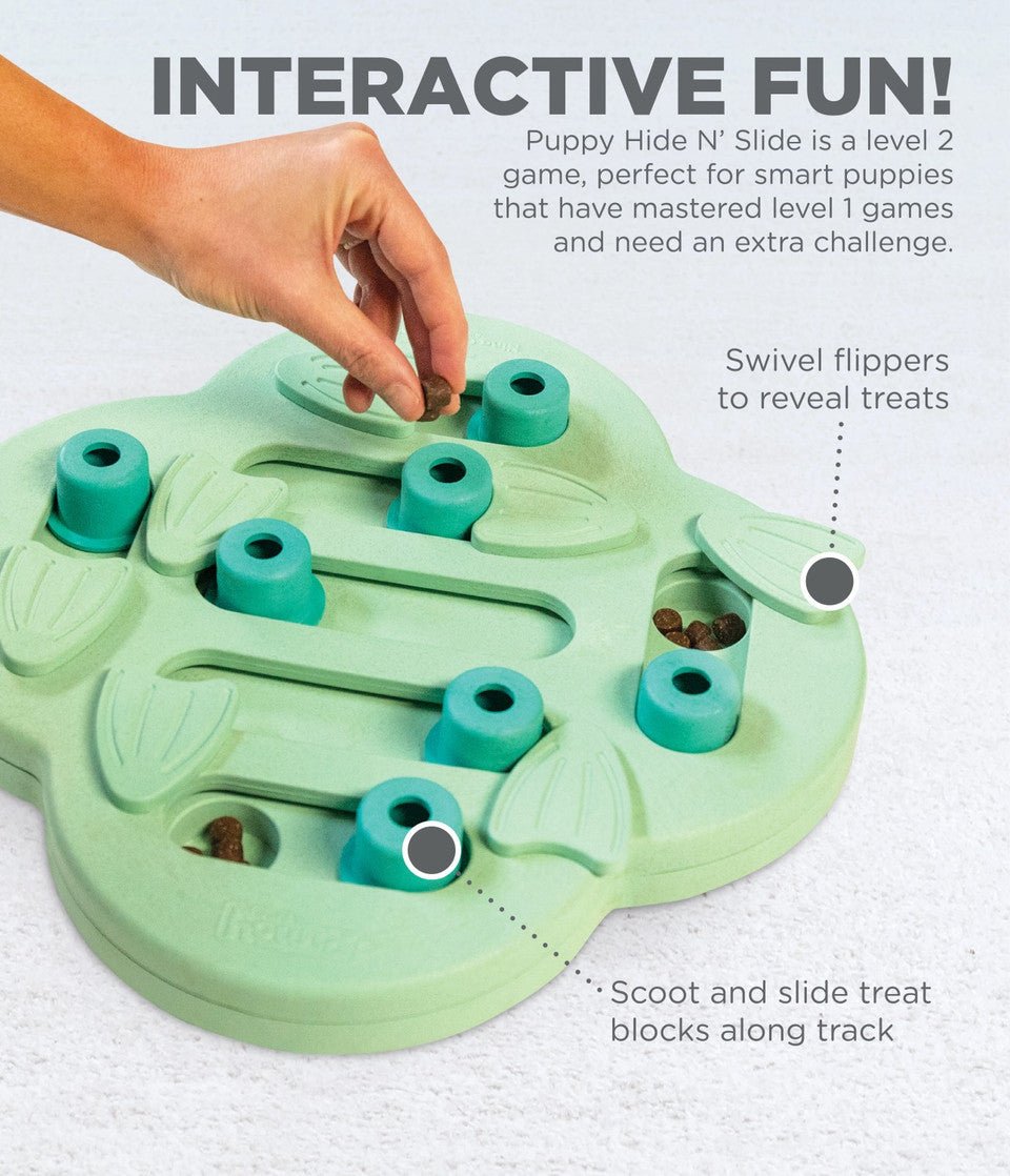 Puppy Hide N' Slide Interactive Treat Puzzle Dog Toy, Green - Eva Pet - Outward Hound