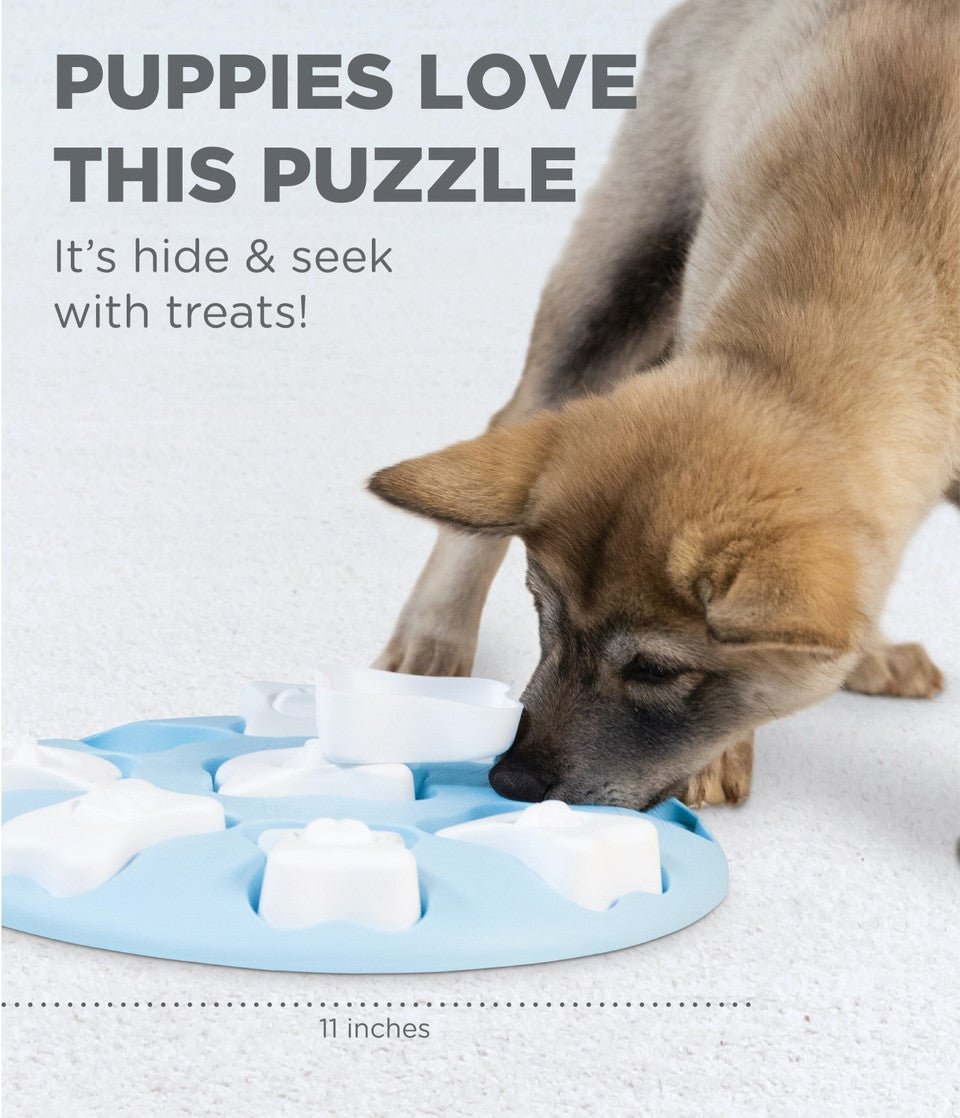 Puppy Smart Interactive Treat Puzzle Dog Toy, Blue - Eva Pet - Outward Hound