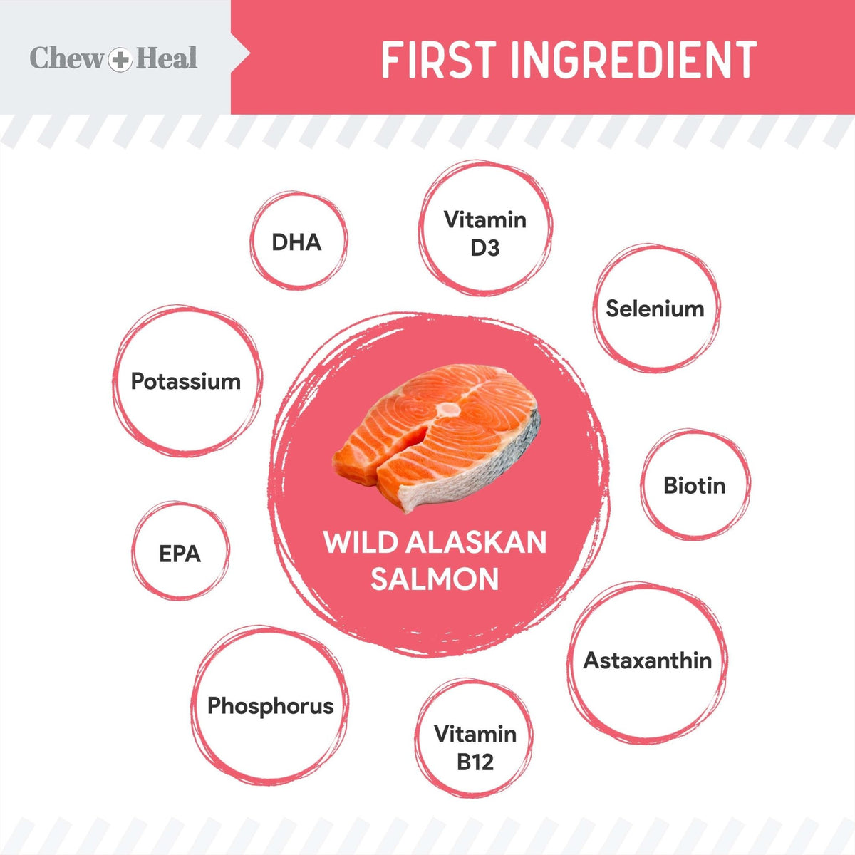 Puppy Soft 'N Yummy Wild Alaskan Salmon Limited Ingredient Jerky Dog Treats - Eva Pet - Chew + Heal