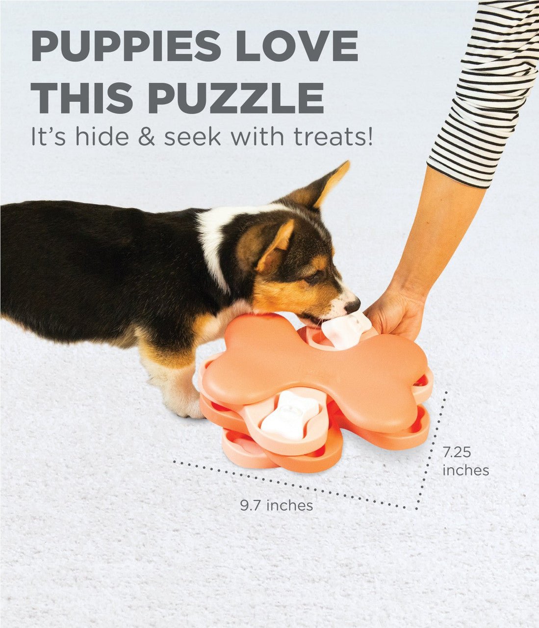 Puppy Tornado Interactive Treat Puzzle Dog Toy, Pink - Eva Pet - Outward Hound