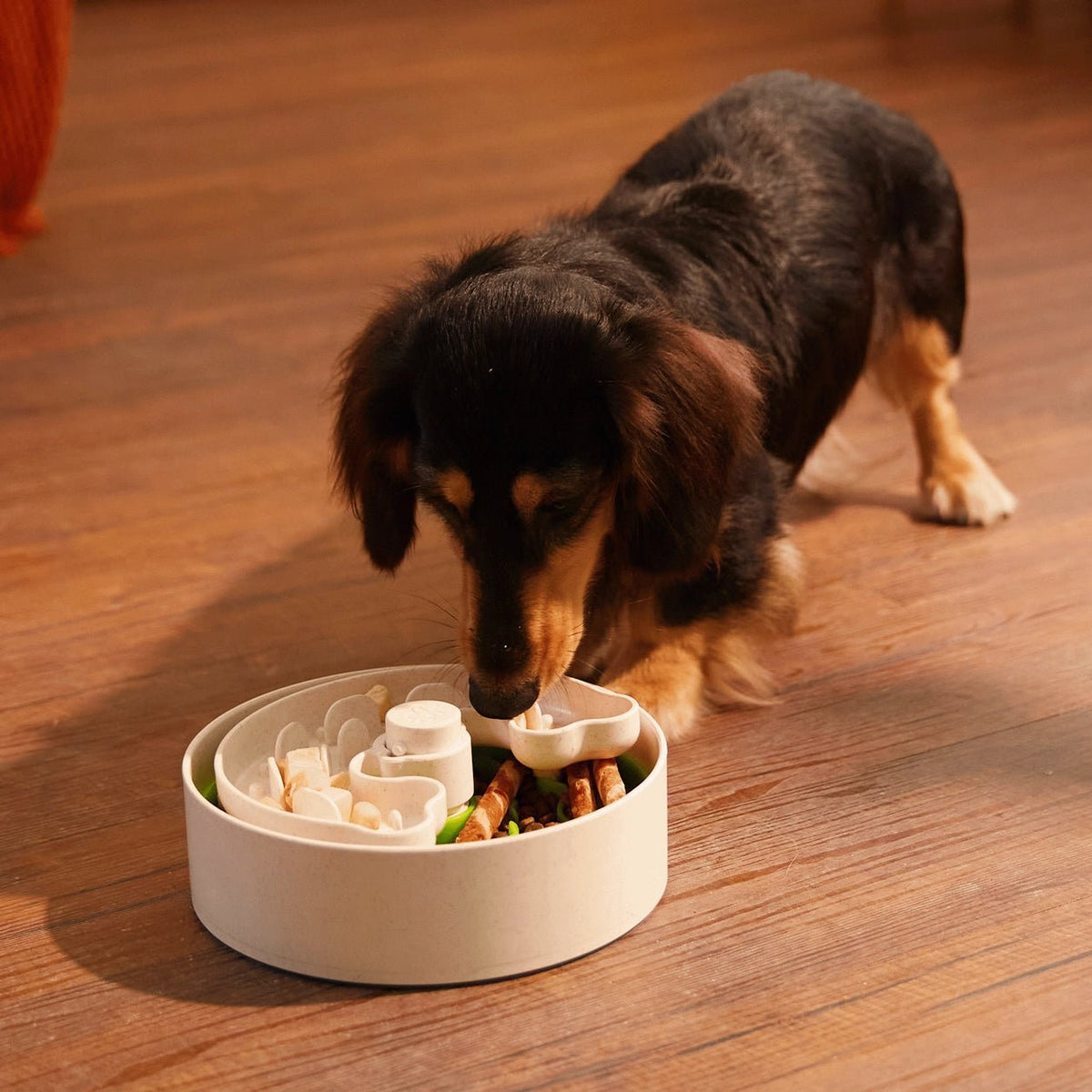 Puzzle Feeder™ Mini - Slower than a Slow Feeder - for S/M Dogs(Green) - Eva Pet - Puzzle Feeder™