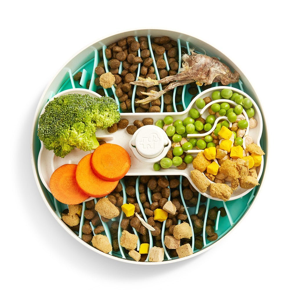 Puzzle Feeder™ Wave - Slower than a Slow Feeder - For Dogs (Green) - Eva Pet - Puzzle Feeder™