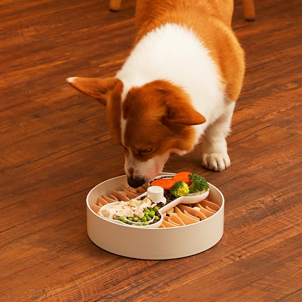Puzzle Feeder™ Wave - Slower than a Slow Feeder - For Dogs (Pink) - Eva Pet - Puzzle Feeder™