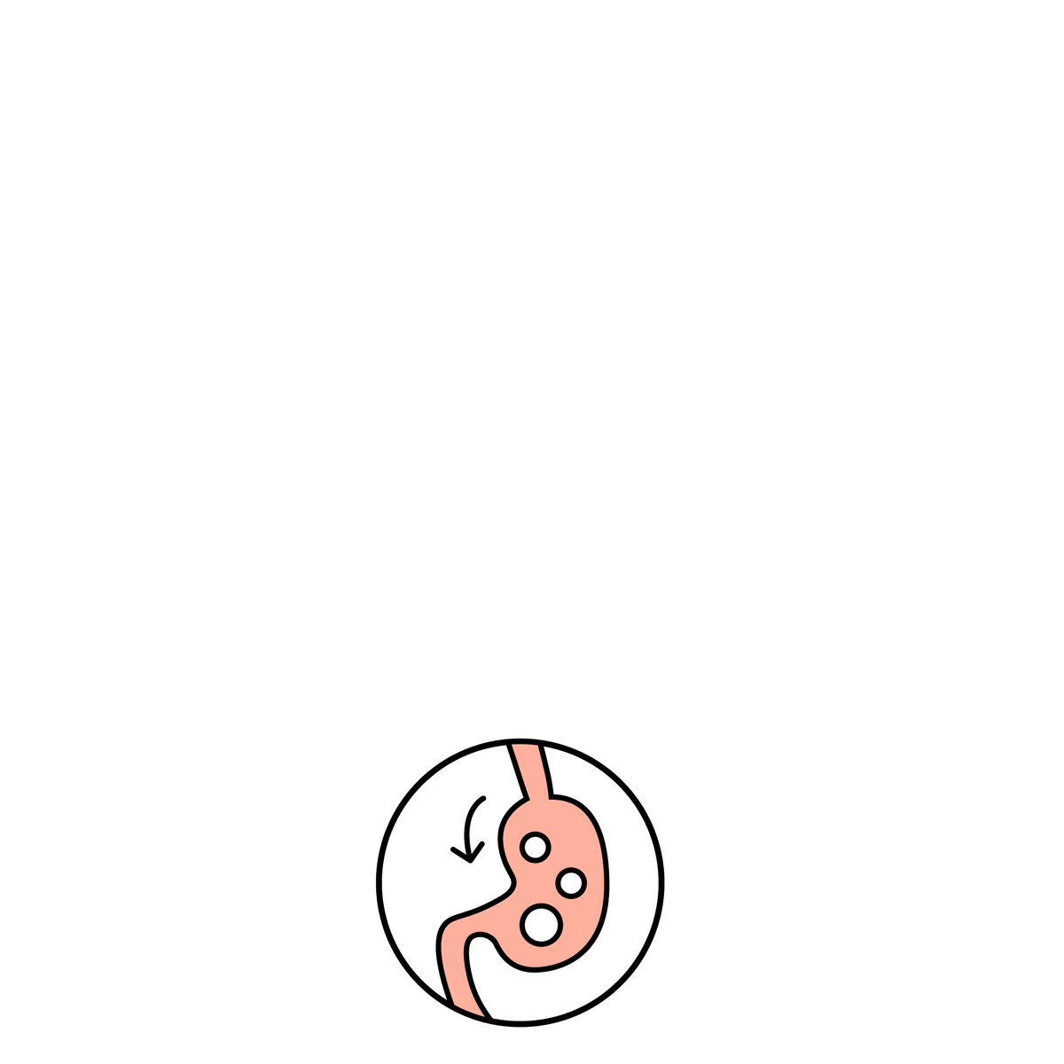 Rawbble® Dry Food for Dogs – Beef Recipe - Eva Pet - Bixbi