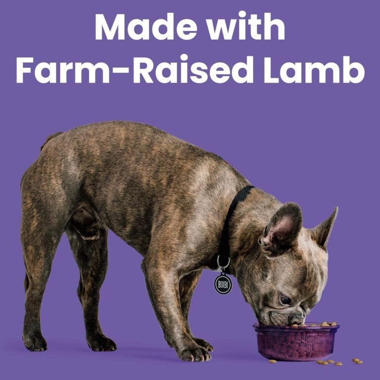 Rawbble® Dry Food for Dogs – Lamb Recipe - Eva Pet - Bixbi