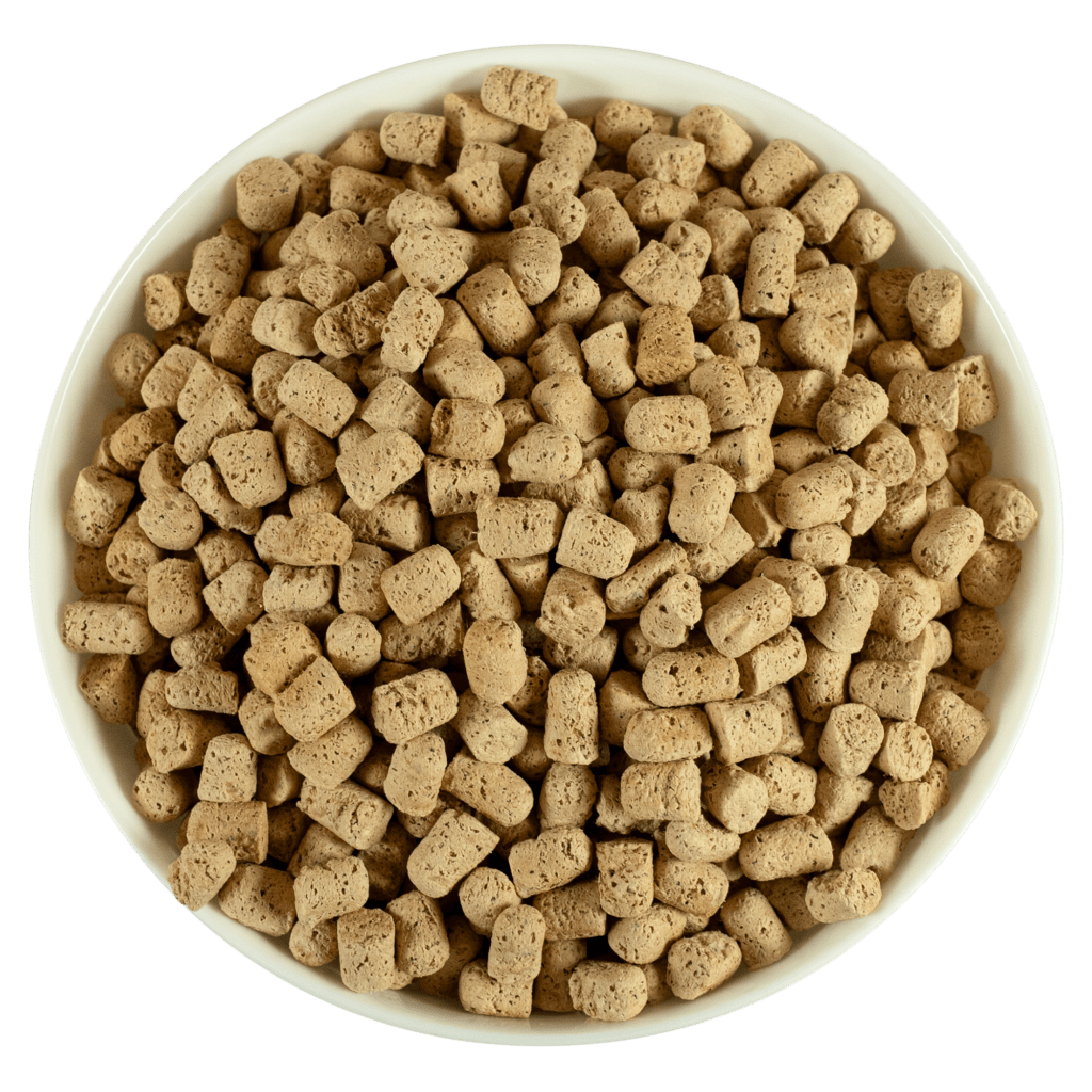 Rawbble® Freeze - Dried Food for Dogs – Turkey Recipe - Eva Pet - Bixbi