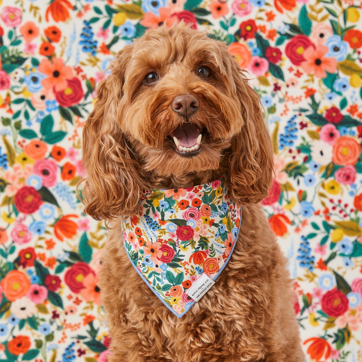 Rifle Paper Co. x TFD Garden Party Dog Bandana - Eva Pet - The Foggy Dog