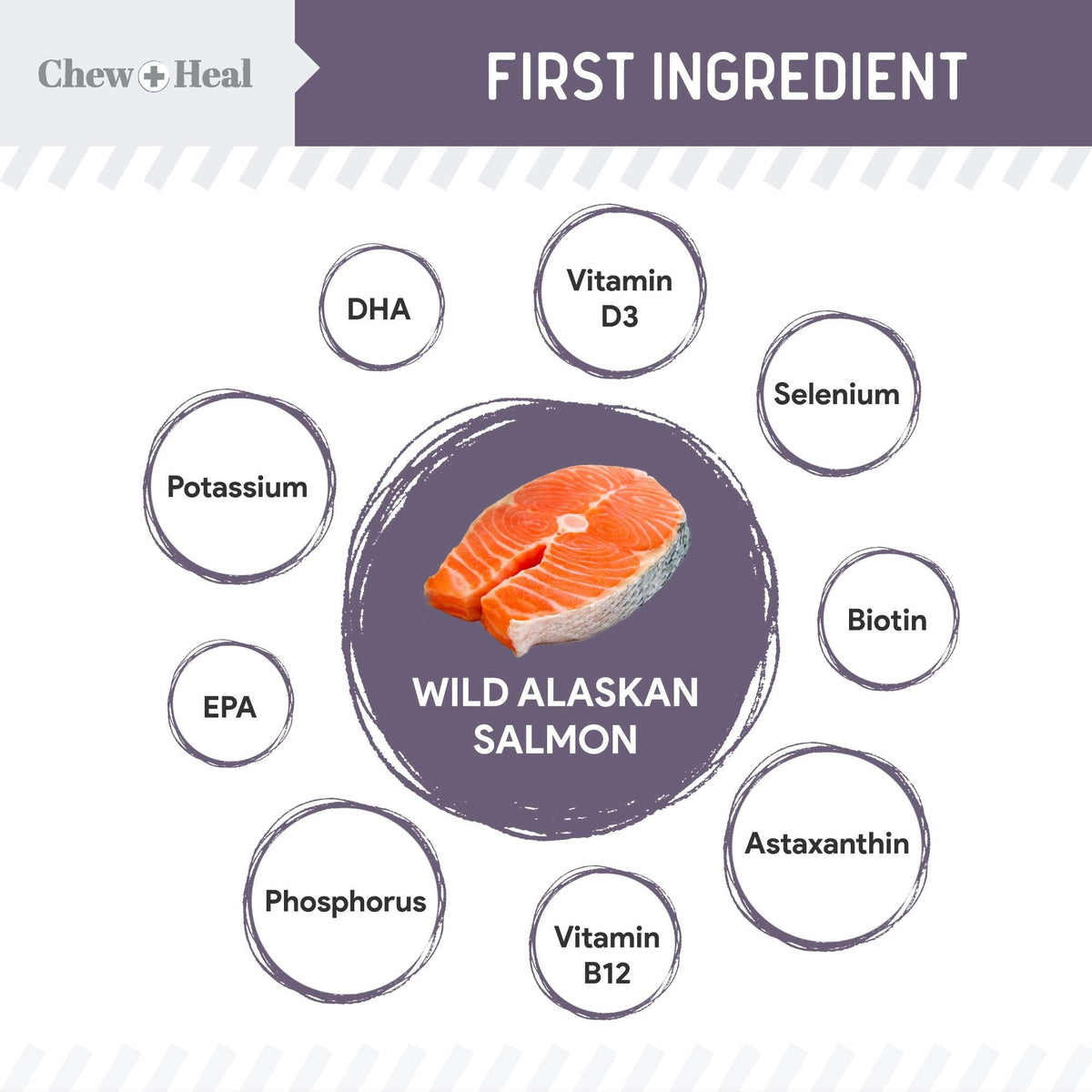 Senior Wild Alaskan Salmon Limited Ingredient Soft Jerky Dog Treats - Eva Pet - Chew + Heal