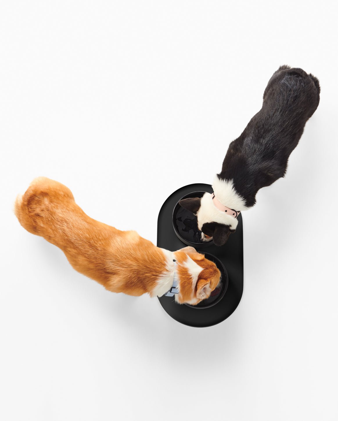 Signature Bowl Mat - Eva Pet - Fable Pets