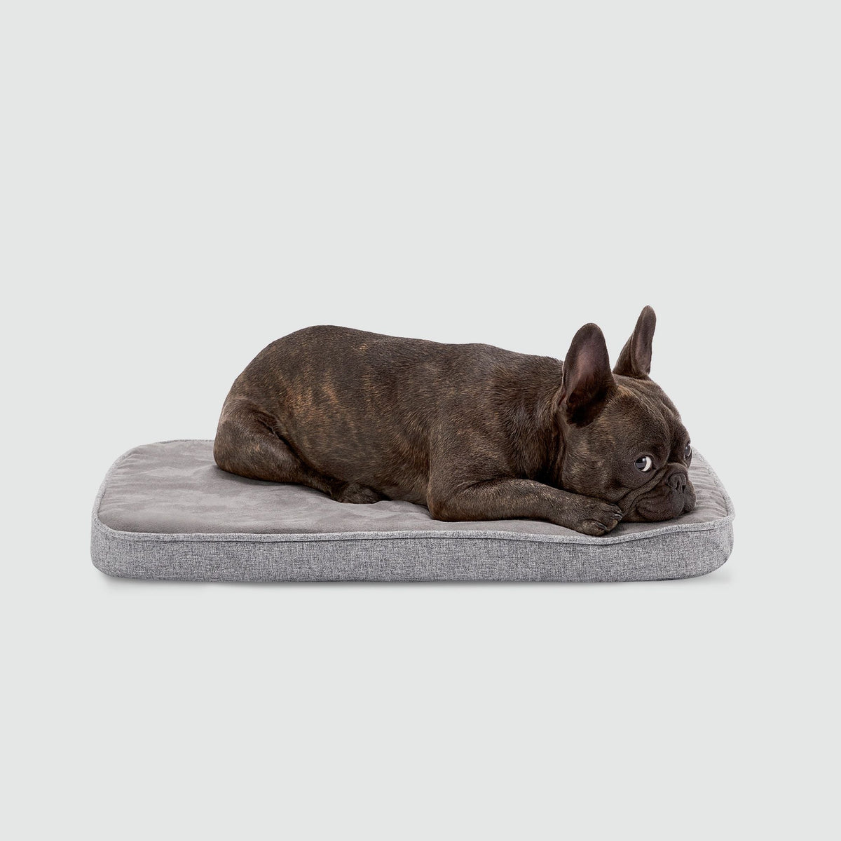 Snooz Revol Pad - Eva Pet - Diggs