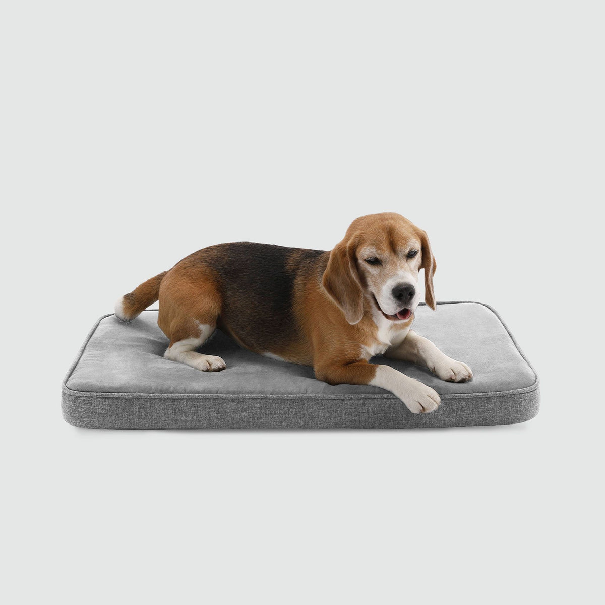 Snooz Revol Pad - Eva Pet - Diggs