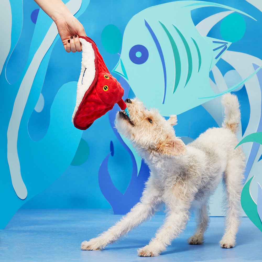 Sting Crosby the Ray Toy - Eva Pet - BARK