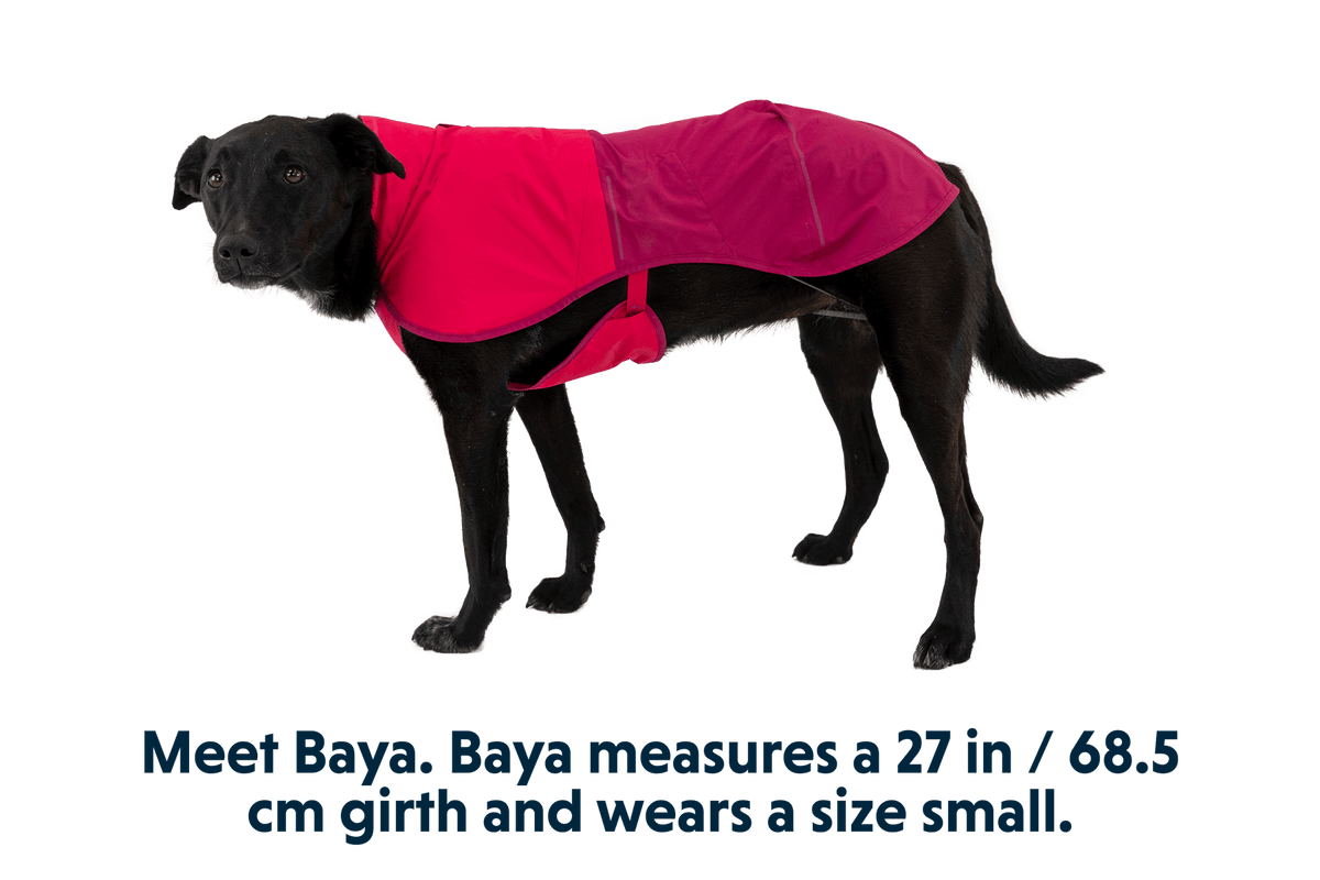 Sun Shower™ Dog Raincoat - Eva Pet - Ruff Wear Inc.