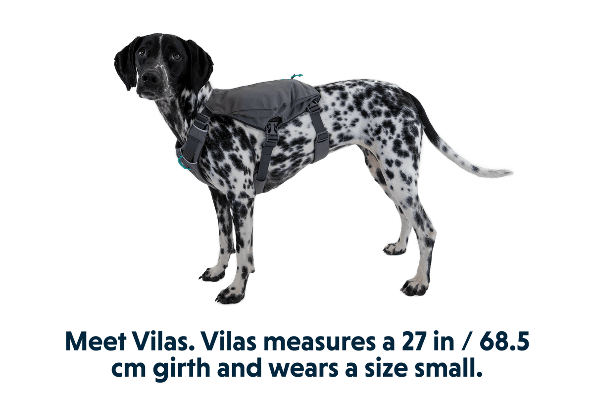 Switchbak™ Dog Harness - Eva Pet - Ruff Wear Inc.