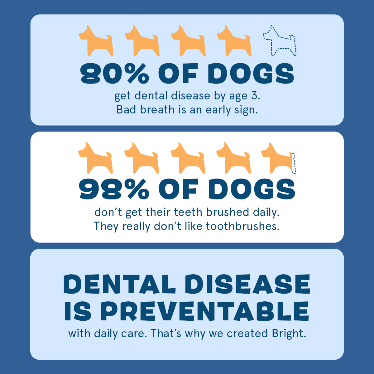 The Bright Dental Kit - Eva Pet - BARK